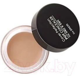 Консилер The Saem Cover Perfection Pot Concealer 02 Rich Beige (4г)