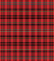 

Набор сервировочных салфеток JoyArty, Красно-черная клетка / np_31124