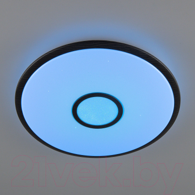 Потолочный светильник Citilux Старлайт CL703A65G