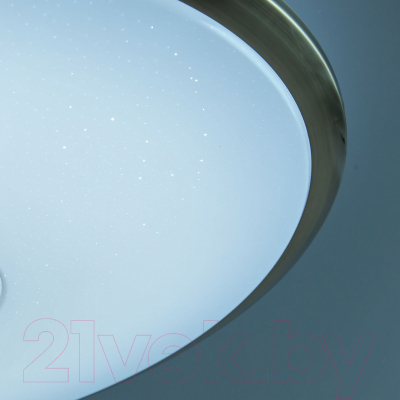 Потолочный светильник Citilux Старлайт CL703A83G