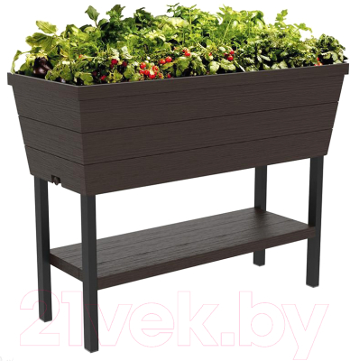 

Вазон-грядка Keter, Urban Bloomer XL / 242856