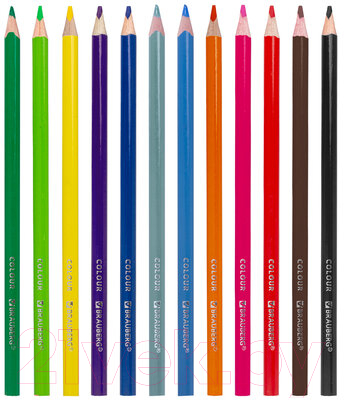 Набор цветных карандашей Brauberg Premium / 181651 (12цв)