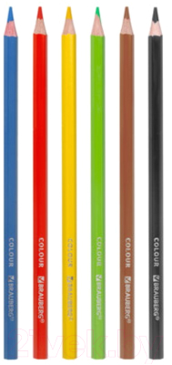 Набор цветных карандашей Brauberg Premium / 181655 (6цв)
