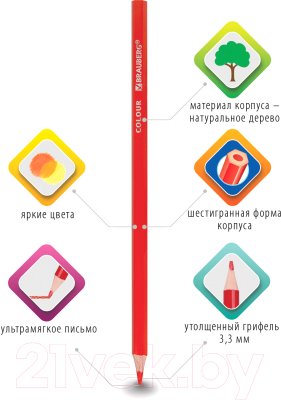 Набор цветных карандашей Brauberg Premium / 181656 (12цв)