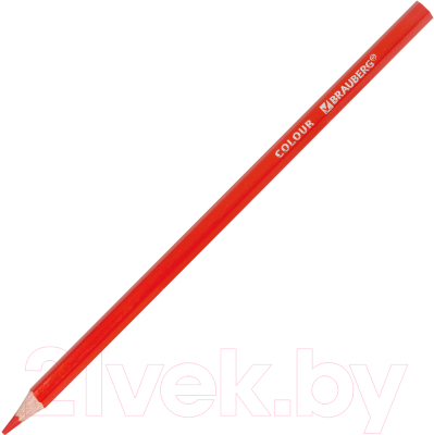 Набор цветных карандашей Brauberg Premium / 181656 (12цв)