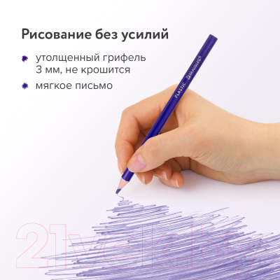 Набор цветных карандашей Brauberg Premium / 181661 (12цв)