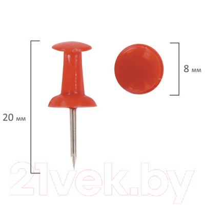 Кнопки канцелярские Brauberg 220557 (50шт)