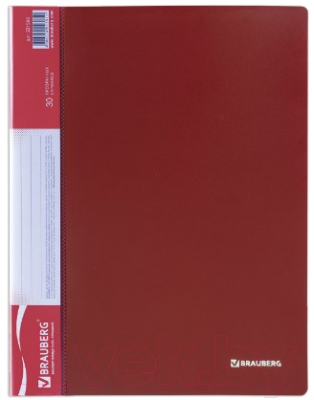 Папка для бумаг Brauberg Стандарт / 221598 (красный)