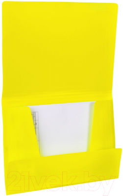 Папка для бумаг Brauberg Neon / 227461 (желтый)