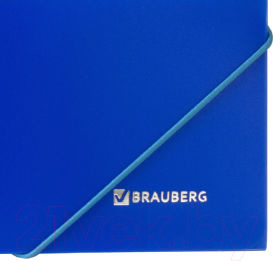 Папка для бумаг Brauberg Neon / 227463 (синий)