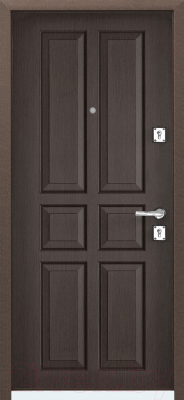 Входная дверь Torex X3 MP-1 (96x205, правая)
