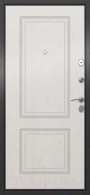Входная дверь Torex X5 MP-5 (96x205, правая)