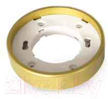 

Точечный светильник INhome, GX53S-RG-ECO / 4690612012162