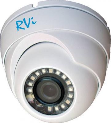 IP-камера RVi IPC32DNS - общий вид