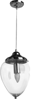 

Потолочный светильник Arte Lamp, Rimini A1091SP-1CC