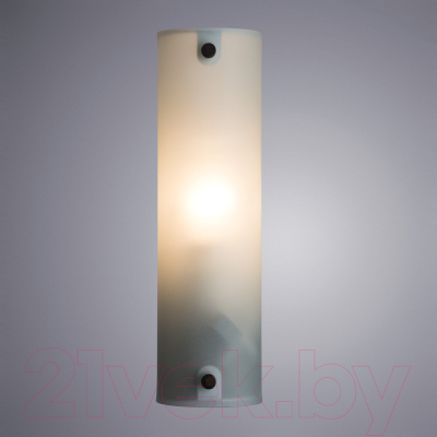 Светильник Arte Lamp Tratto A4101AP-1WH