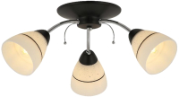 

Люстра Toplight, Winnifred TL1255D-03BC