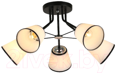 

Люстра Toplight, Persis TL1256D-05BK