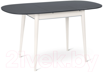 Обеденный стол ТехКомПро Арека М / 121373 (бук/тон черная эмаль/тон подстолья 1/ножка 8)
