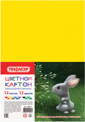 Набор цветного картона Пифагор 128011 (12л)