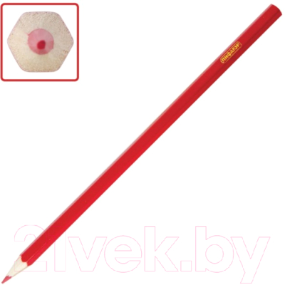 Набор цветных карандашей Пифагор Эники-Беники / 181346 (12шт)