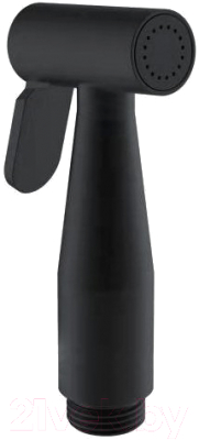 

Лейка гигиенического душа Aquanet, AF300-83B / 261833
