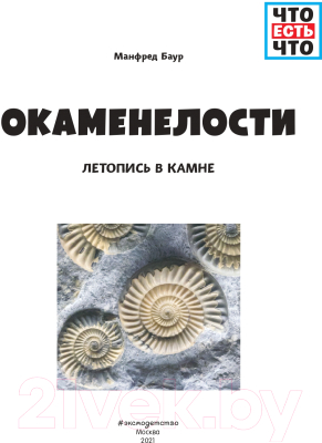 Энциклопедия Эксмо Окаменелости. Летопись в камне (Баур М.)