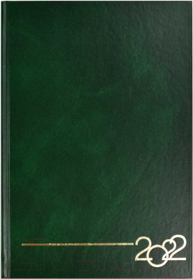 

Ежедневник Феникс+, 58247