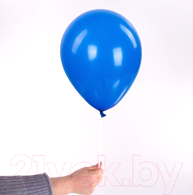 Набор воздушных шаров Золотая сказка 105013 (10 шт)