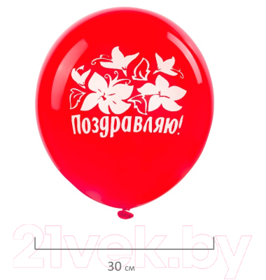 Набор воздушных шаров Золотая сказка Поздравляю 105015 (5шт)