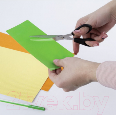 Изображение товара Ножницы канцелярские Staff Basic / 235459