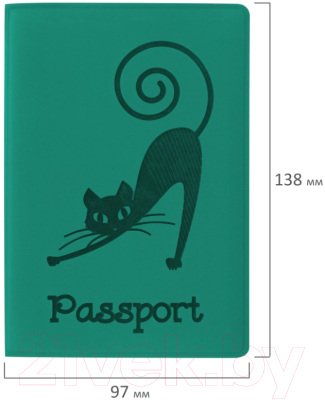 Обложка на паспорт Staff Кошка / 237616 (бирюзовый)