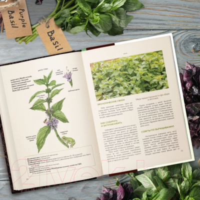 Книга Эксмо Дикие травы: как найти целебные продукты (Розали де ла Форе)