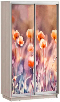 

Шкаф СТИЛЬ, Лео Купальница 1200
