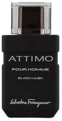 

Туалетная вода Salvatore Ferragamo, Attimo Black Musk