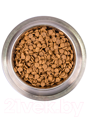 Сухой корм для кошек Monge Cat BWild Grain Free Adult Лосось и горох (1.5кг)