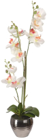 Искусственное растение Вещицы Орхидеи / YW-SUH27 (белый) - 