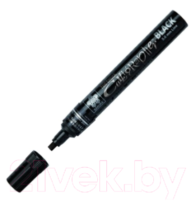 

Маркер художественный Sakura Pen, Pen-Touch Calligrapher / XPSKC49