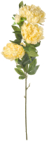 Искусственный цветок Вещицы Пион В1050 / E4-PK (кремовый) - 