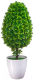 Искусственное растение Вещицы Мирт в кашпо / B19 (зеленый) - 