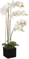 Искусственный цветок Вещицы Орхидея в горшке / YW-36 (белый) - 