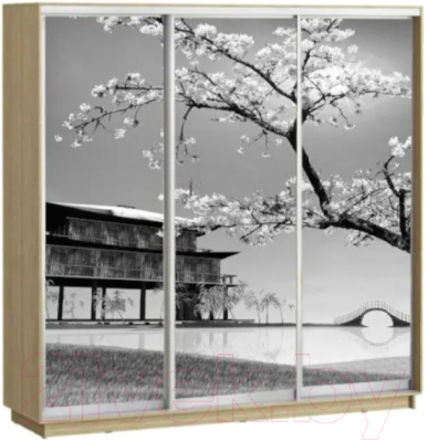 

Шкаф СТИЛЬ, Лео Сакура 2100