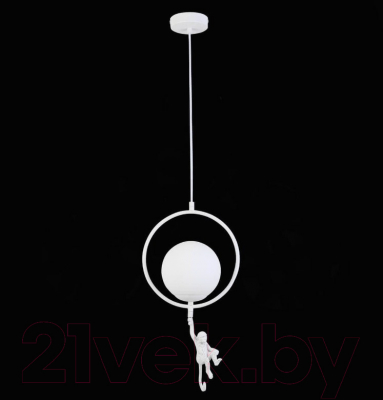 Потолочный светильник Evoluce Tenato SLE115113-01