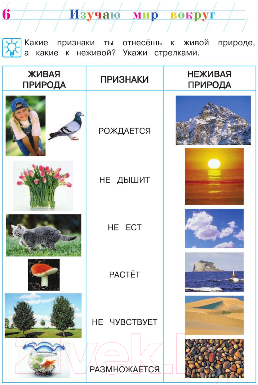 Учебное пособие Эксмо Изучаю мир вокруг: для детей 6-7 лет (Липская Н.М.) — фото 6