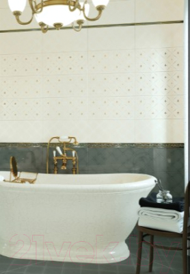 Изображение товара Плитка NewTrend Adele Latte (249x500)