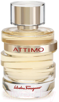 Парфюмерная вода Salvatore Ferragamo Attimo