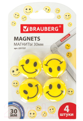 Набор магнитов Brauberg 231727 (4шт)