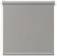 Рулонная штора АС МАРТ Моно 35x200 (светло-серый) - 