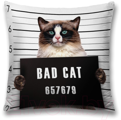 

Наволочка декоративная JoyArty, Кот преступник / sl_15573