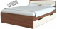 Односпальная кровать Стендмебель Гармония КР-607 80x200 (ясень шимо светлый/ясень шимо темный) - 